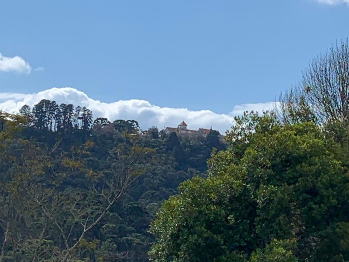 Kitnet Aconchegante Em Bairro Nobre Bem Localizado 公寓